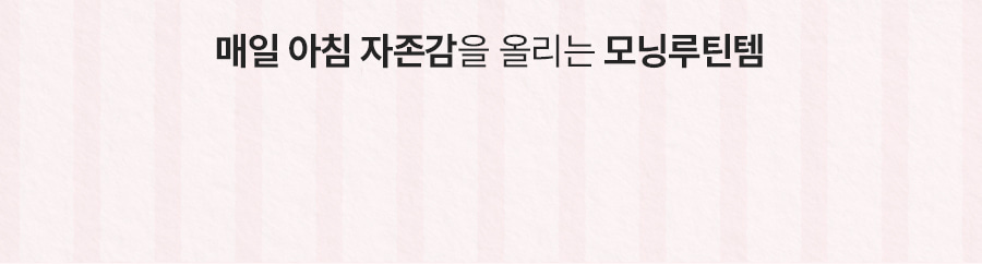 레빗텅 틴트 필름 시그니처 민트