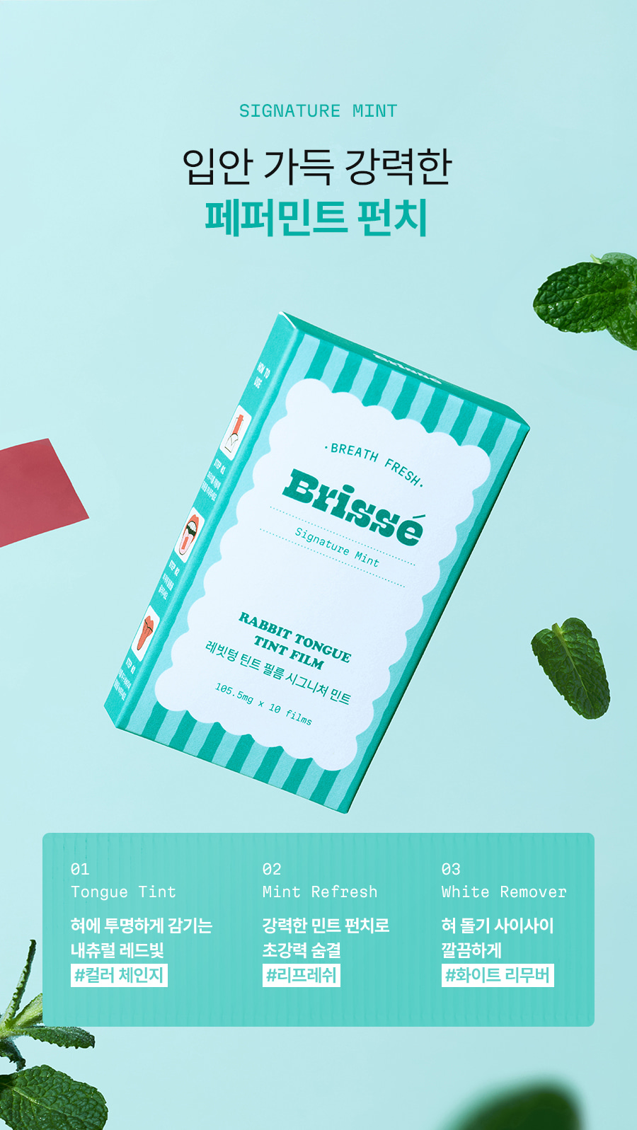 레빗텅 틴트 필름 시그니처 민트