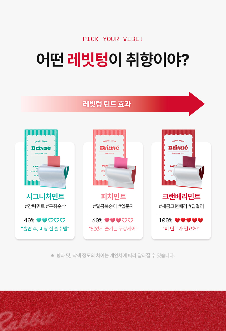 레빗텅 틴트 필름 시그니처 민트