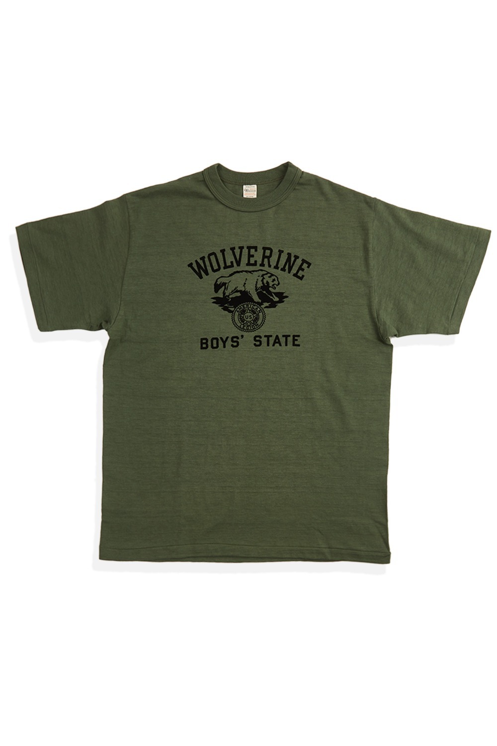 LOT 4601 WOLVERINE GREEN