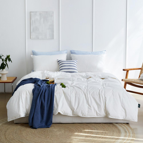 Sareureu Polish 80% Goose Down summer Mid-season Duvet Single / Queen / King