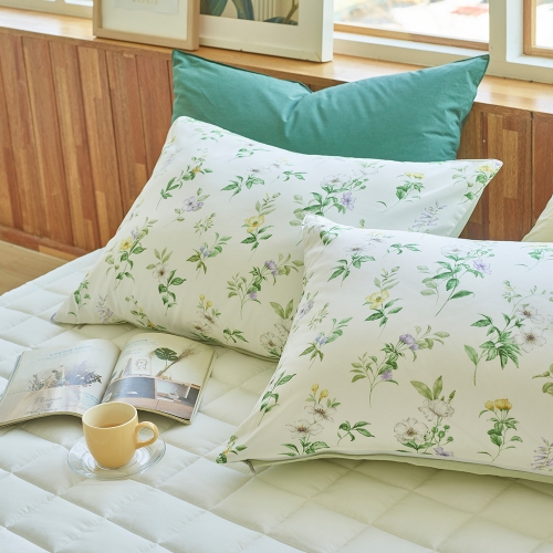 Lobelia 60-count Lenzing Cotton-Modal Pillow Cover green 50x70