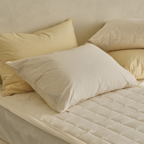 Daily Cotton 60-count Bio-washed Pillow Cover cream white 50X70