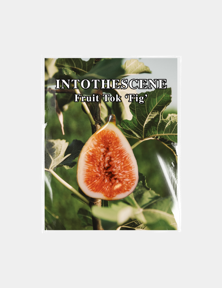 [Fruit Tok] Fig