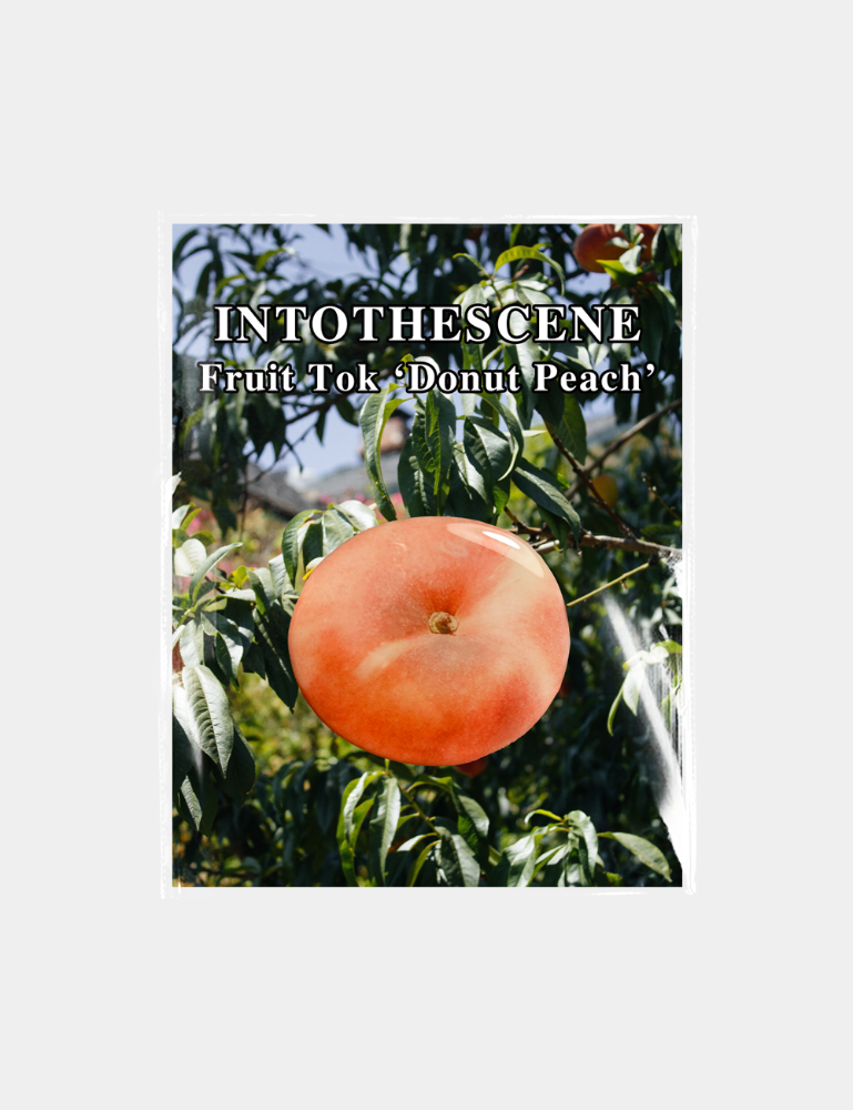 [Fruit Tok] Donut Peach