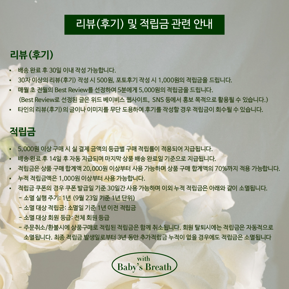 제작 위드베브 라이트 링클 스카프 5colors 상세 이미지 117