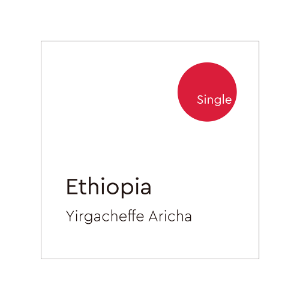[오리슨] 에티오피아 아리차