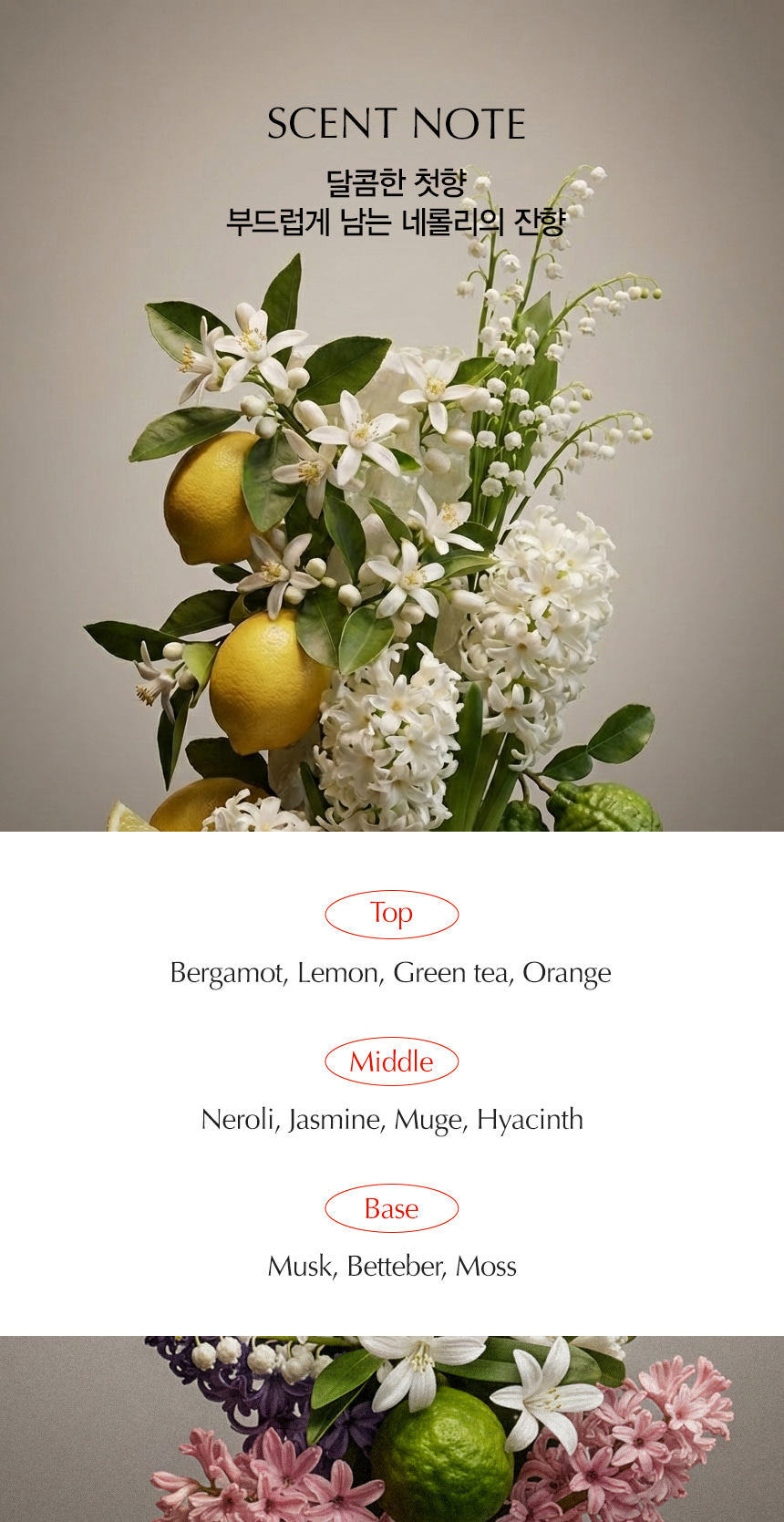 13-scent20note20E18487E185A9E186A8E18489E185A1.jpg