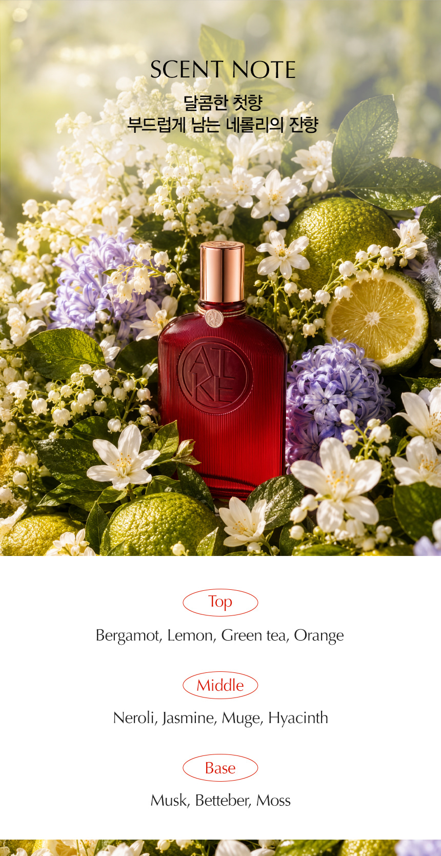 15-scent20note.jpg