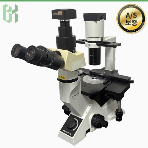 중고 Olympus CKX41SF / 인버티드 생물 현미경 Inverted Biological Microscope  (BQ08)