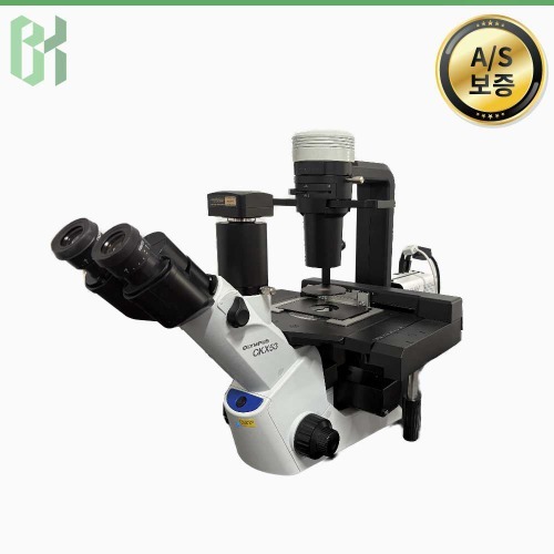 중고 Olympus CKX53SF / 도립 현미경 Inverted Microscope / 배율 400X (CS02)