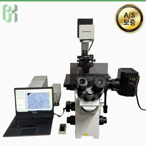 중고 Olympus IX51S1F-2 / 도립형 형광 현미경 Inverted Microscope / 배율 4x, 10x, 20x, 40x (CS04)