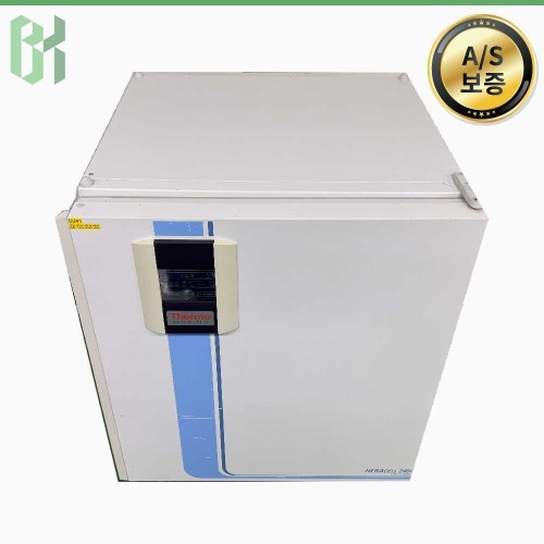 중고 Thermo HERACell 240i / CO₂ 인큐베이터 CO₂ Incubator / 240L (CU41)