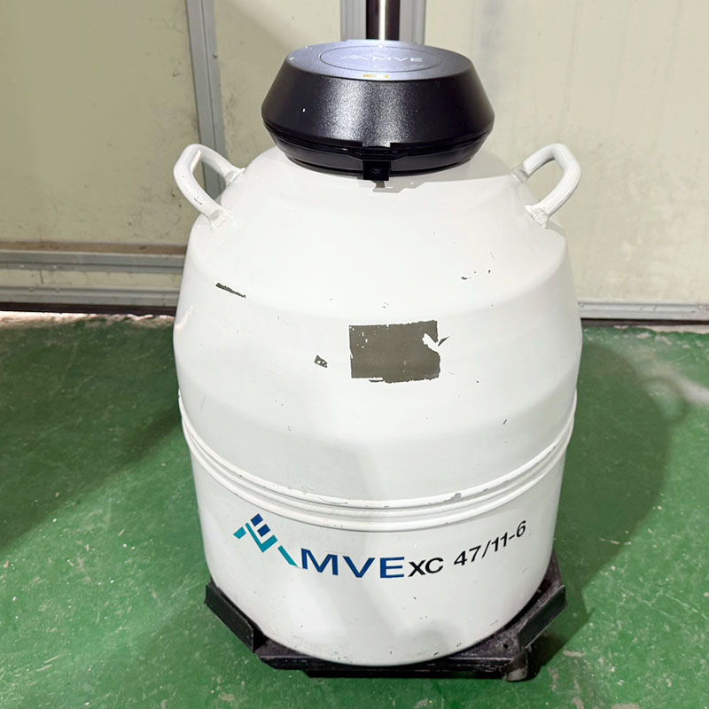중고 MVE XC 47/11-6 액체질소통 47L, 캐니스터 (BX17)