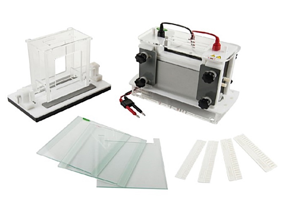 중고 수직형 전기 영동 장치 / BK-SCZ8 / Gel area : 174x175 / Buffer : 2200 / No. sample : 21~70