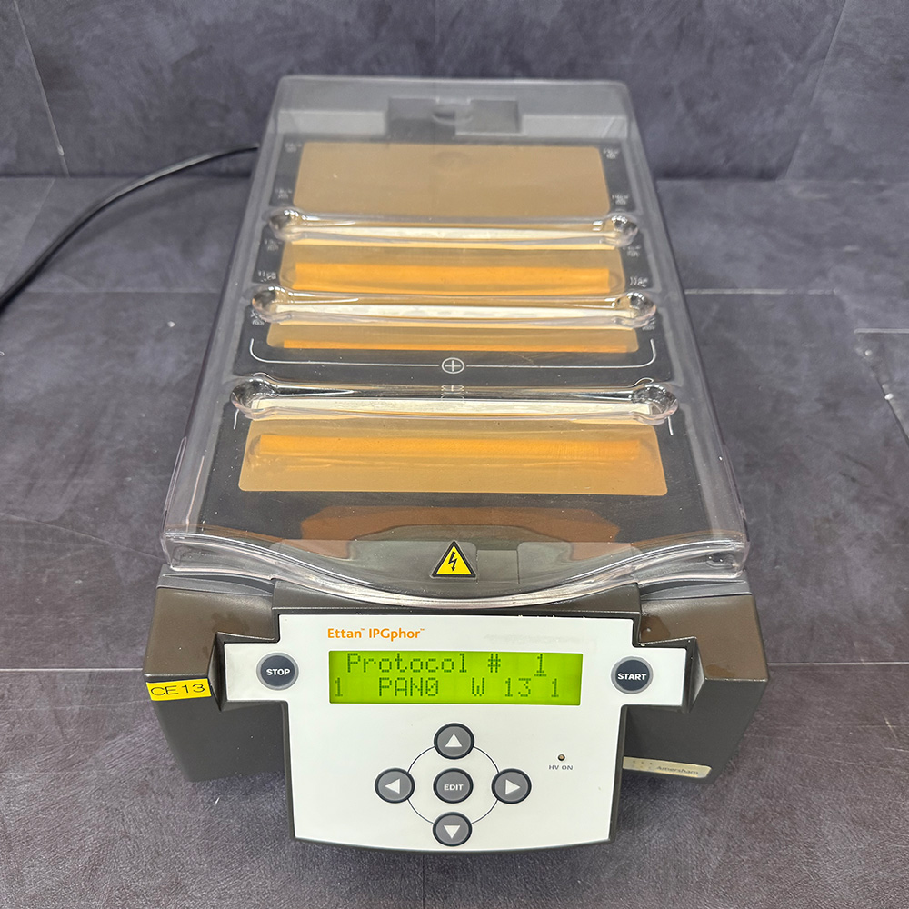 중고 Pharmacia Biotech IPGphor 전기영동 (CE13)