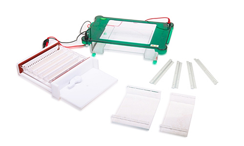 중고 수평형 전기 영동 장치 / BK-SPGT / Gel area : 200x200, 200x150, 200x100 / Buffer : 1800 / No. sample : 17~104