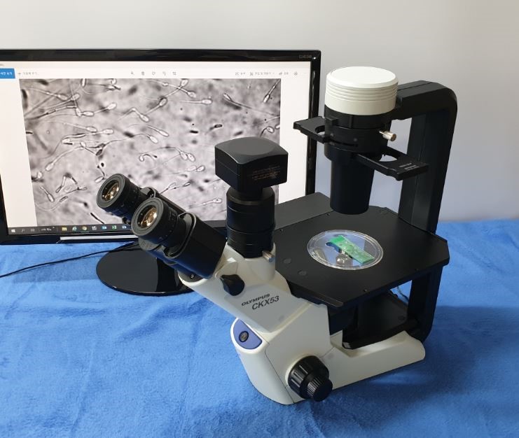 중고 올림푸스 위상차 세포배양 현미경 CKX53 Phase Microscope