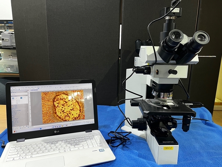 중고 올림푸스 교육용 2인 동시관찰 생물현미경 BX40 (SB02)