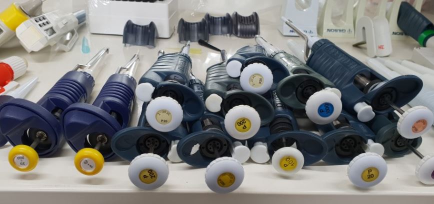 중고 프랑스 Gilson Pippet