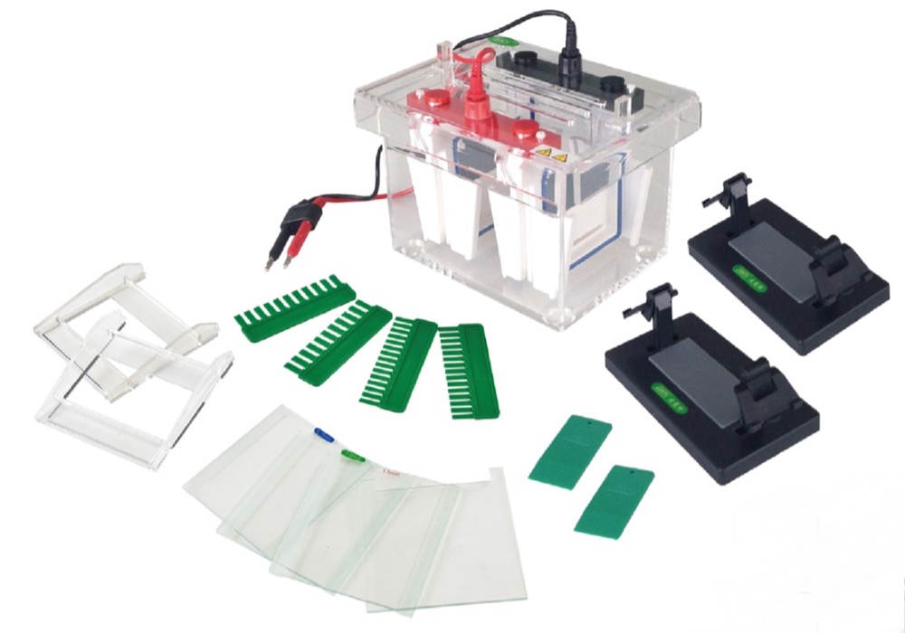 중고 수직형 전기 영동 장치 / BK-SCZ4+ / Gel area : 82x88 / Buffer : 1000 / No. sample : 11~60