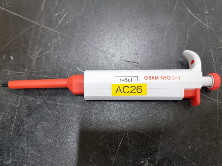 중고 Gram Neg 145&amp;#181;L (AC26)