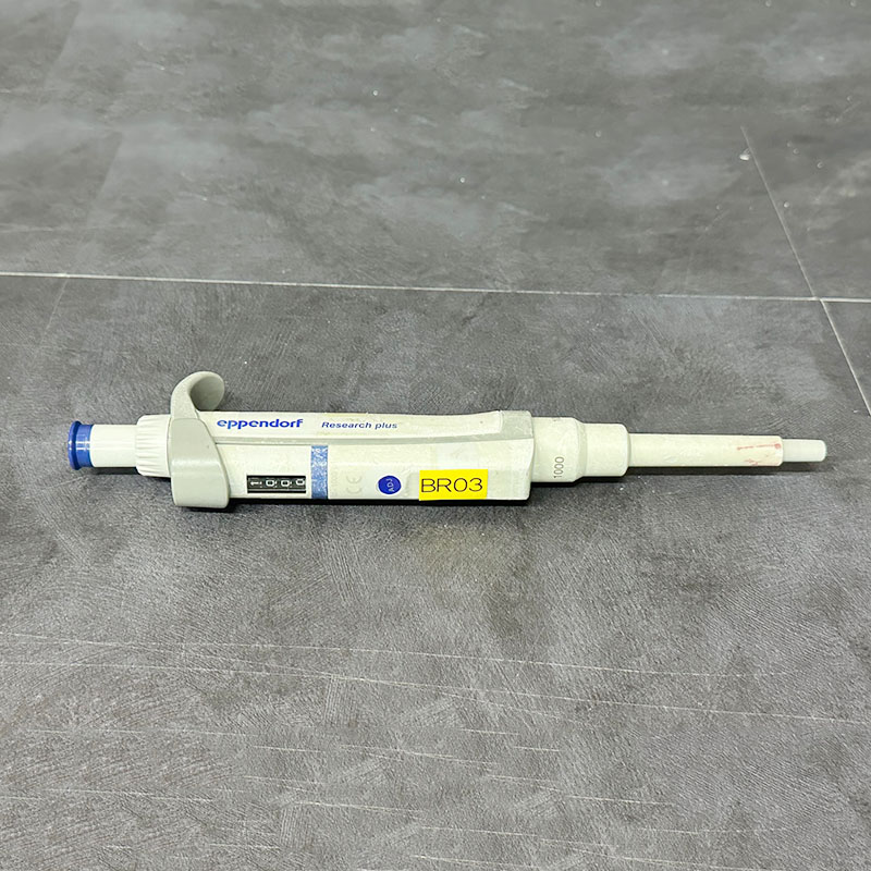 중고 Eppendorf Research plus 1000 (BR03)