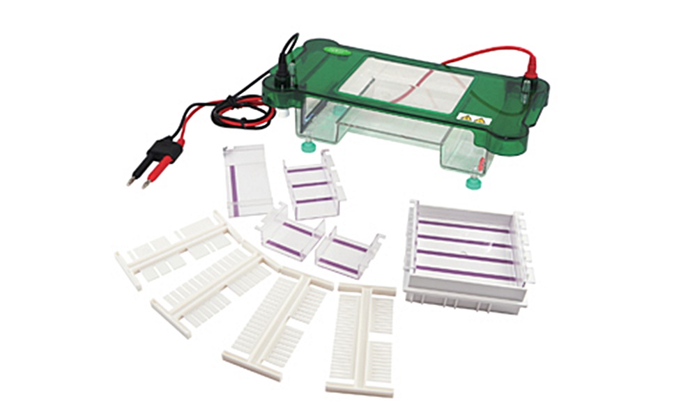 중고 수평형 전기 영동 장치 / BK-SPCT / Gel area : 120x120, 120x60, 60x120, 60x60 / Buffer : 550 / No. sample : 1~100