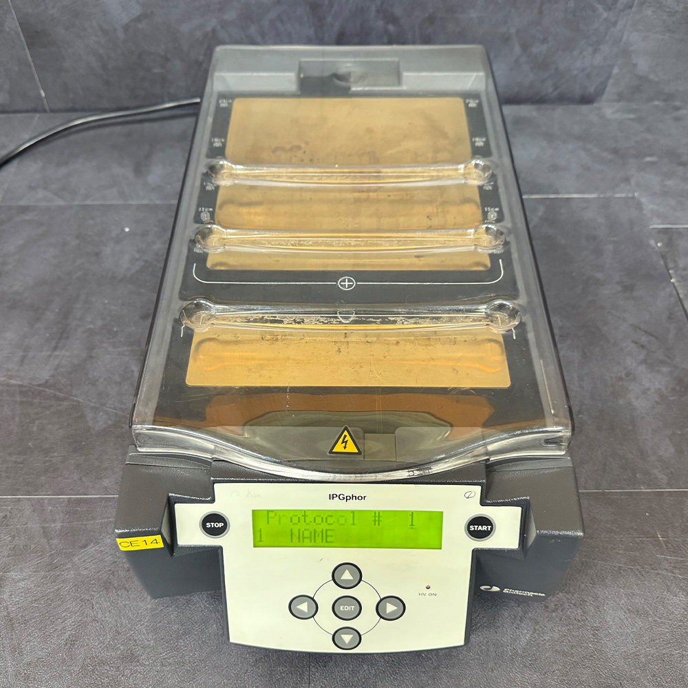 중고 Pharmacia Biotech IPGphor 전기영동 (CE14)