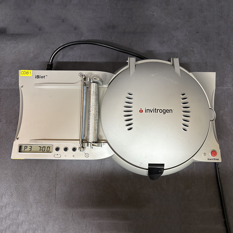 중고 Life Technologies Invitrogen iBlot Dry GEL Transfer System, 전이장비 (CD81)