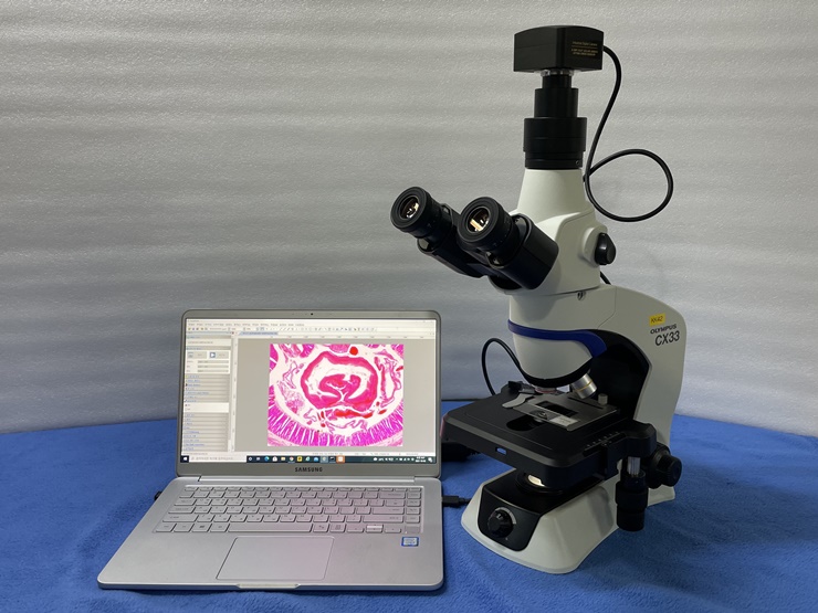 중고 올림푸스 임상병리 생물현미경 CX33 + 5M (KK42)