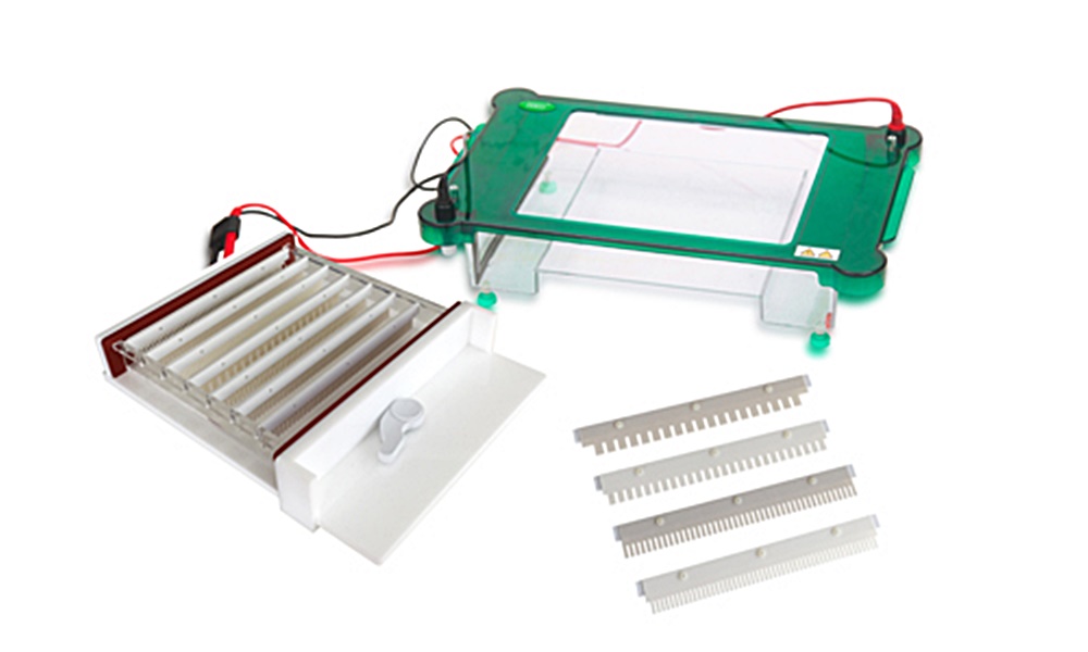 중고 수평형 전기 영동 장치 / BK-SPHT / Gel area : 245x250 / Buffer : 2000 / No. sample : 19~364