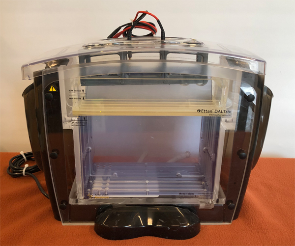 중고 Ettan DALTsix 전기영동