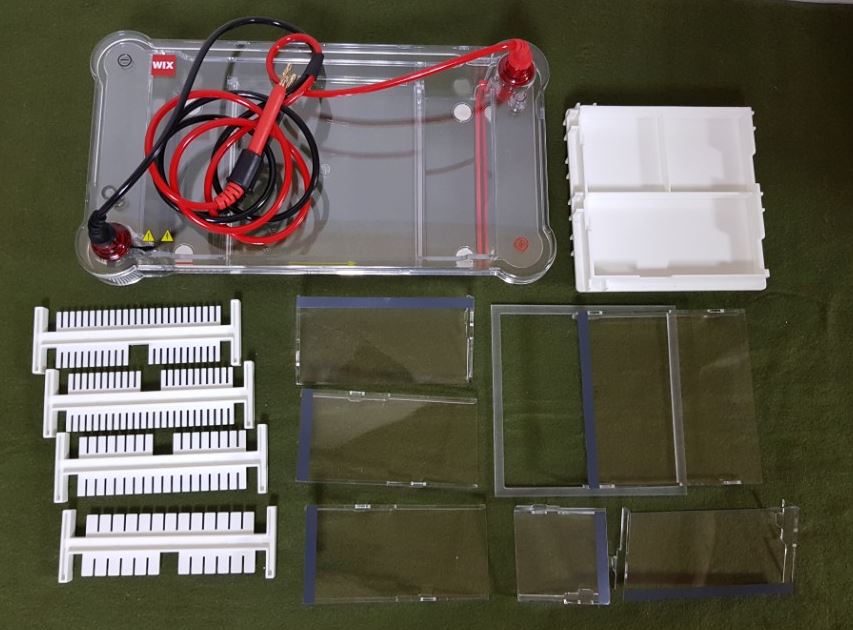 중고 수평식 전기영동 장치 Lite type(신품)