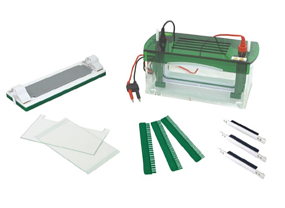 중고 수직형 전기 영동 장치 / BK-CZ-B / Gel area : 186x95 / Buffer : 1800 / No. sample : 25~104