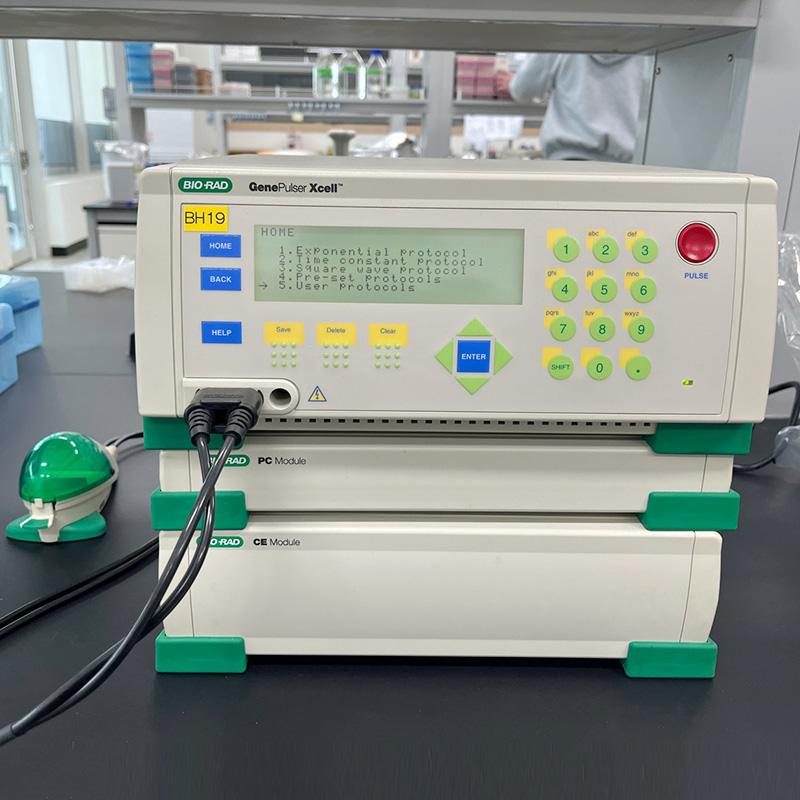 중고 BIORAD Gene Pulser Xcell Electroporation Systems_ (BH19)