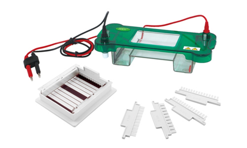 중고 수평형 전기 영동 장치 / BK-SPBT / Gel area : 78x100 / Buffer : 400 / No. sample : 10~30