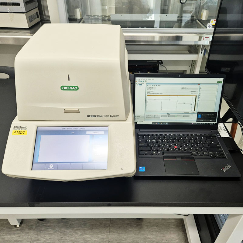 중고 CFX96 Touch Real-Time PCR Detection System (AM07)