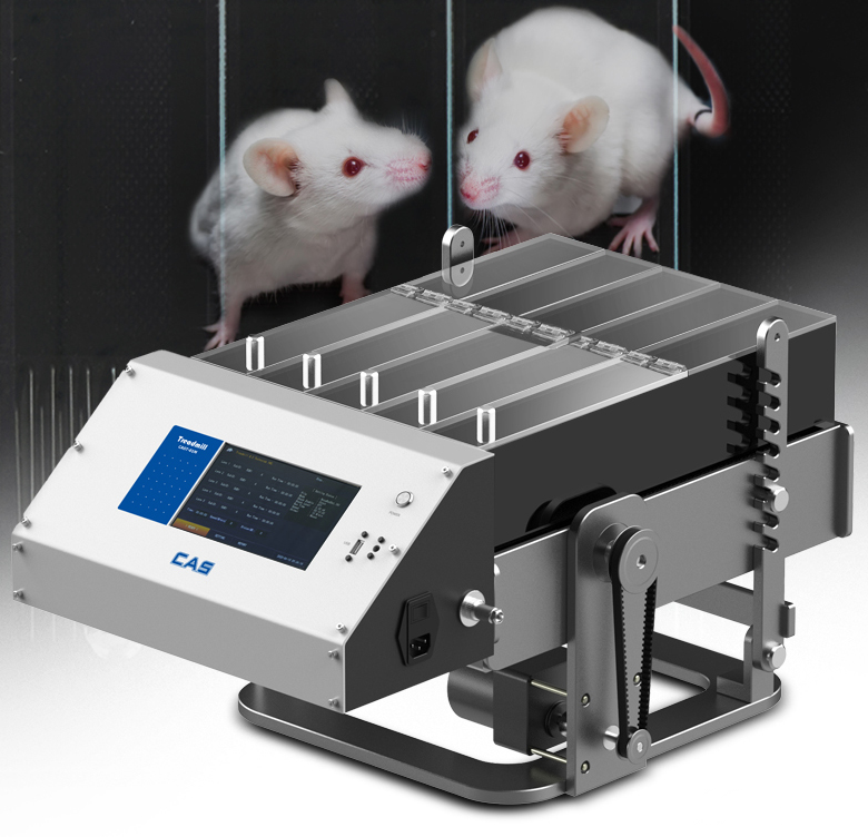 중고 동물실험장비 CAS Tread Mill 런닝머신 CAST-01M (AT03)