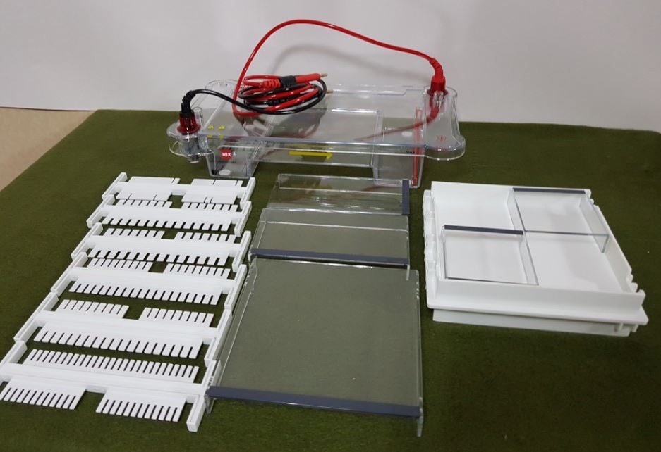 중고 수평식 전기영동 장치 Midi type(신품)