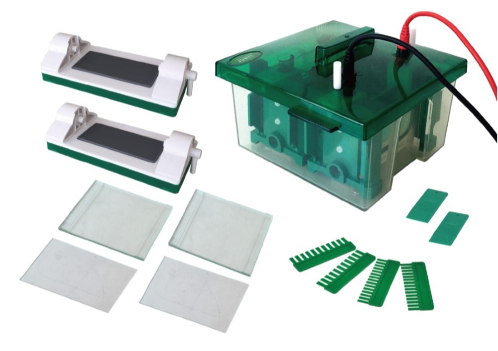 중고 수직형 전기 영동 장치 / BK-Mini-P4 / Gel area : 81x73 / Buffer : 1200 / No. sample : 11~60