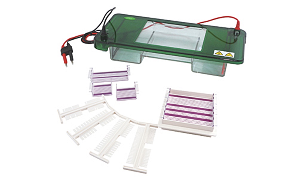 중고 수평형 전기 영동 장치 / BK-SPDT / Gel area : 140x140, 140x70, 70x70 / Buffer : 900 / No. sample : 1~87