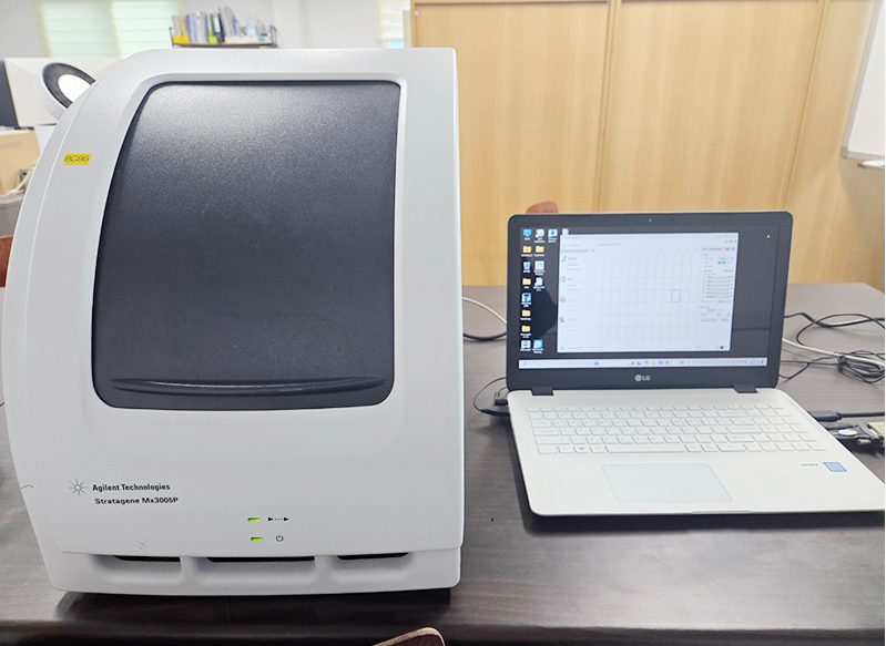 중고 Agilent Technologies Stratagene Mx3005P 정량적 실시간 qPCR (BC86)