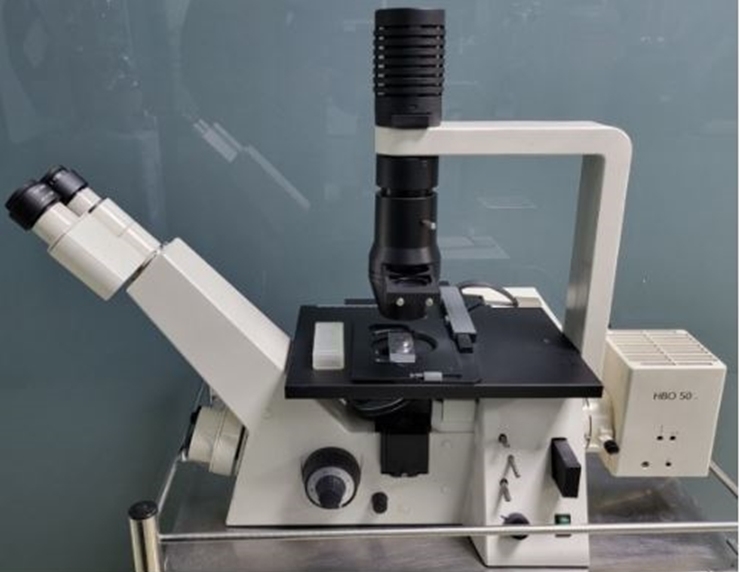 중고 Zwiss Axiovert25 위상차 형광 도립 현미경 (CK01)