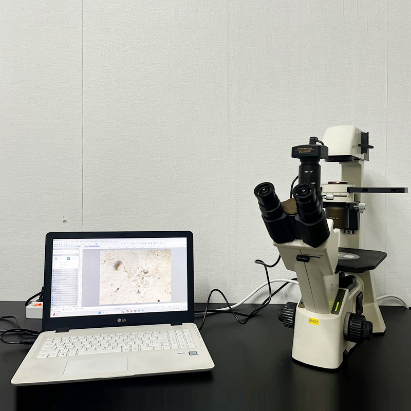 중고 Motic AE31 고급 인버티드 현미경 (BM08)