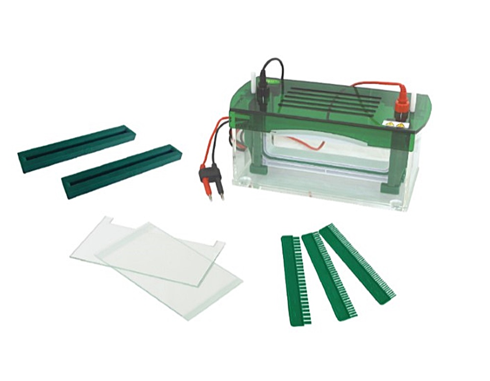 중고 수직형 전기 영동 장치 / BK-JX5L / Gel area : 186x205 / Buffer : 3500 / No. sample : 25~104