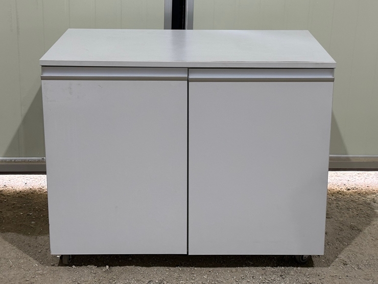 중고 양문형 시약장