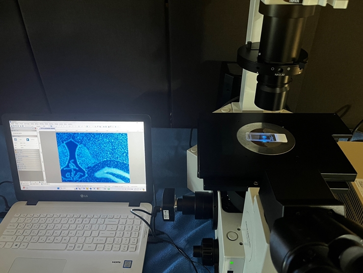 중고 Olympus IX50 도립 형광 현미경 IX50-S8F (SB14)