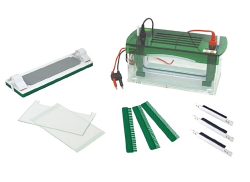 중고 수직형 전기 영동 장치 / BK-CZ-BL / Gel area : 186x205 / Buffer : 3500 / No. sample : 25~104