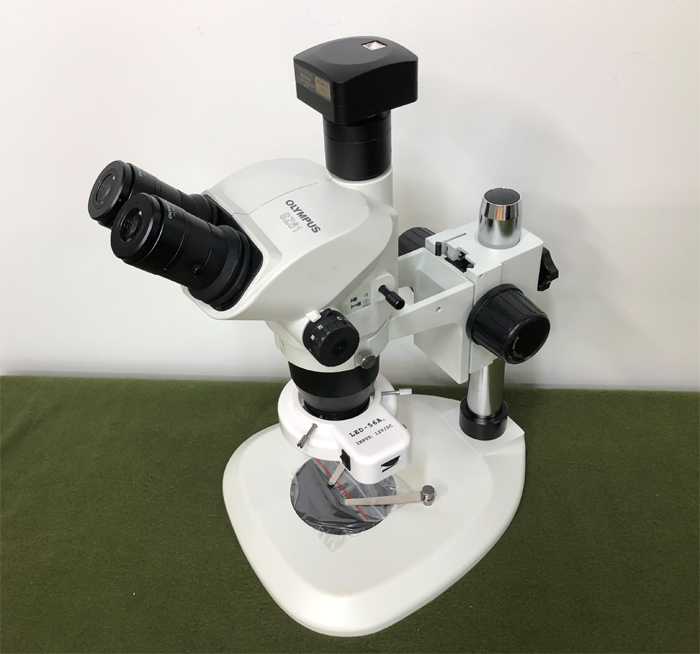 중고 올림푸스 실체현미경 SZ61TR